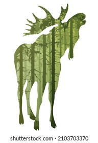 Elk, inside a pine forest, vector illustration, green tone 