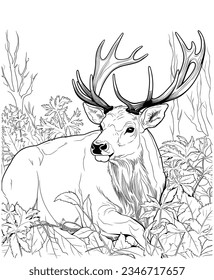 Elk jungle coloring pages vector illustration