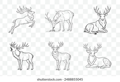 Elk Line Art Vector Set for Graphic Design Projects and Creative Artwork