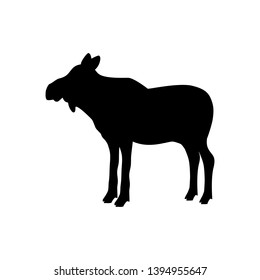 Elk moose cow mammal black silhouette animal. Vector Illustrator.