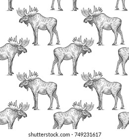 Elk or moose. Seamless pattern with forest animals. Hand drawing of wildlife. Vector illustration art. Black and white. Old engraving. Vintage. Design for fabrics, paper, textiles, fashion.