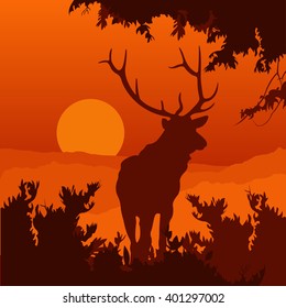 Elk in the natural environment. Silhouette of elk. monotonic illustration of elk on a landscape. sunset 