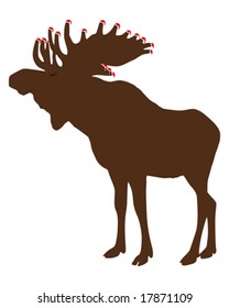 Elk with Santa Claus caps looking forward to christmas