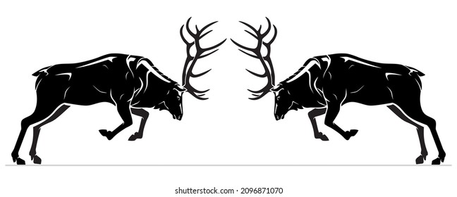 Elk Silhouette  Fighting for Dominance