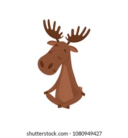 Elk sitting with crossed legs. Moose doing yoga exercise. Relaxation and meditation. Wild forest animal. Flat vector design