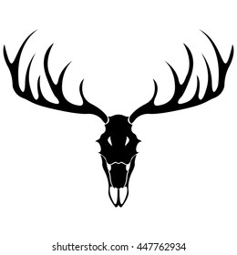 elk skull with horns