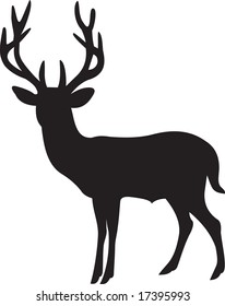 elk, vector