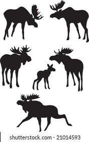 elk vector