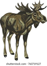 Elk vector drawing illustration