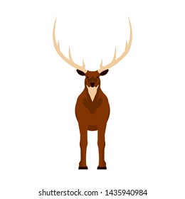 Elk vector illustration icon front view. Wildlife deer mammal art nature with horn. Antler head cartoon forest fauna zoo