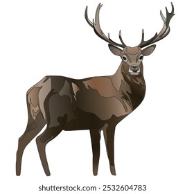 Elk Vector Illustration: Majestic Antlered Animal elk