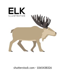 Elk vector illustration symbol object. Flat icon style concept design