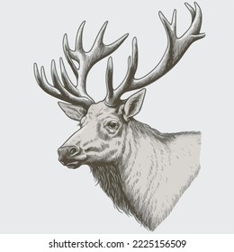 Elk Vector Tshirt Design Logo Icon Greeting Card Illustration