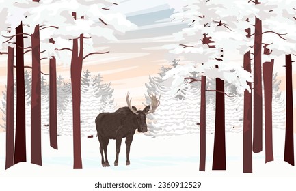 Un alce camina por un bosque de invierno con pinos altos y nevadas. Animales salvajes en invierno. Paisaje vectorial realista