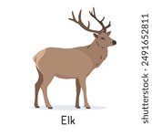 Elk or wapiti vector illustration, cartoon clipart character, animal in flat style. Wild animals, wild creatures, wildlife concept. Elk vector design isolated on white background