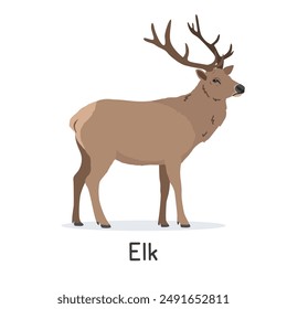 Elk or wapiti vector illustration, cartoon clipart character, animal in flat style. Wild animals, wild creatures, wildlife concept. Elk vector design isolated on white background