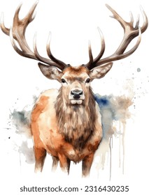 Elk watercolor illustration. Hand drawn underwater element design. Artistic vector marine design element. Illustration for greeting cards, printing and other design projects.