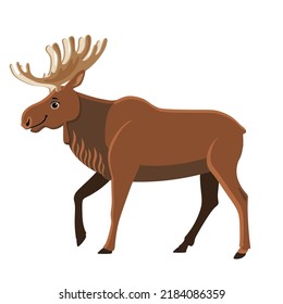 Elk, wild animal, drawing for children