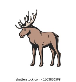 Elk wild animal icon. Vector moose wapiti, elk antler hunt and zoo mammal