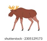 Elk, wild forest animal with horns. Big European, American mammal, walking, side view, profile. Herbivorous fauna. Cervus canadensis. Flat vector illustration isolated on white background