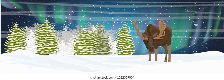 Elk in the winter spruce forest. Night. Northern lights in the sky. Wild animals of Eurasia and North America. Realistic Vector Landscape