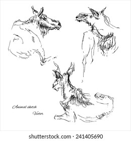 Elk.Animal sketch. Vector illustration