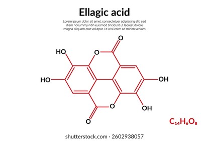 Ellagic acid, polyphenol, molecular structure formula, suitable for education or chemistry science content. Vector illustration