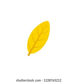 elliptic leaf flat icon on transparent background