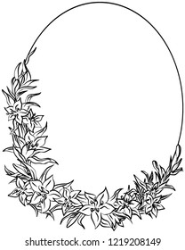 Elliptic vector black-and-white floral frame of lilies and foliage