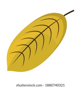 elliptical tree leaf flat style icon vector illustration design