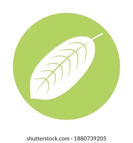 elliptical tree leaf silhouette style icon vector illustration design