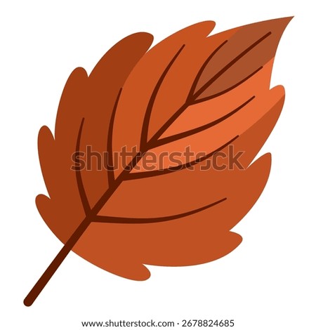 Elm autumn leaf vector style