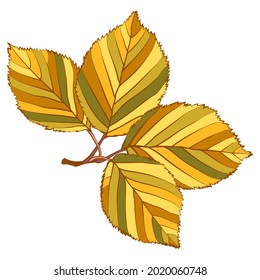Elm branch with gold autumn leaves isolated on white background. Simple cartoon flat style vector illustration.