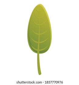 Elm-grünes Blattsymbol. Cartoon auf elm grünem Blatt, Vektorsymbol für Webdesign einzeln auf weißem Hintergrund