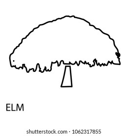 Elm icon. Outline illustration of elm vector icon for web