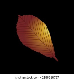 Elm leaf. Autumn leaf is red. Vector illustration.