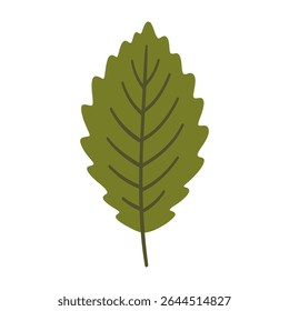 Folha de olmo de cor verde escura. Um elemento isolado no branco. Fundo de primavera ou verão, ilustração vetorial