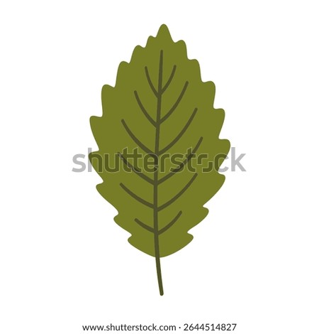 Elm leaf in dark green color. One element isolated on white. Spring or summer background, vector illustration