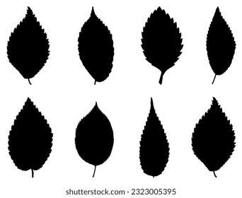 Elm Leaf Silhouette Vector Art on White Background