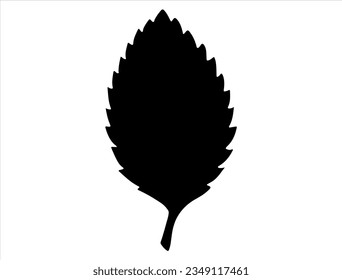 Elm leaf silhouette vector art on a white background