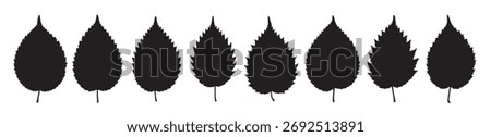 elm leaf silhouette white background