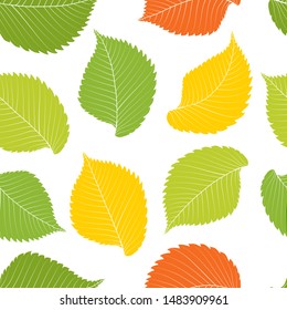 Elm leves seamless pattern. Vector illustration