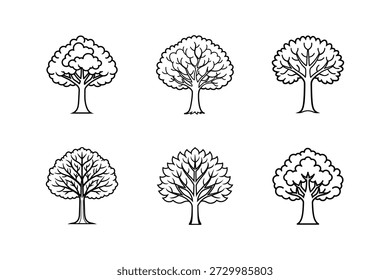 elm line art vector illustration isolated