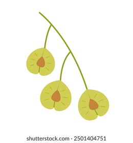 Elm seeds. Hand drawn trendy flat style isolated on white background. Vector illustration.