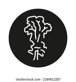 Elm tree color line icon. Pictogram for web page, mobile app, promo.