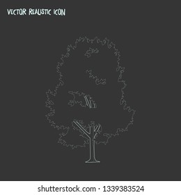 Elm tree icon line element. Vector illustration of elm tree icon line isolated on clean background for your web mobile app logo design.