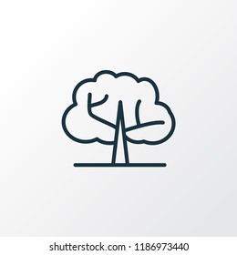 Elm tree icon line symbol. Premium quality isolated ecology element in trendy style.