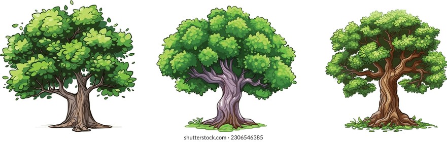 Elm tree set in isolated white background, Elm tree clip art collection.