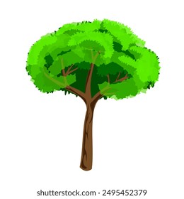 An elm tree vector with a white background for design purposes.