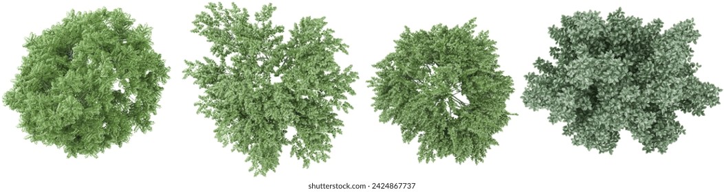 Elm,Dogwood trees collection of top view isolated on transparent background svg